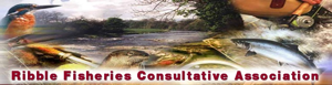 Ribble Fisheries Consultative Association